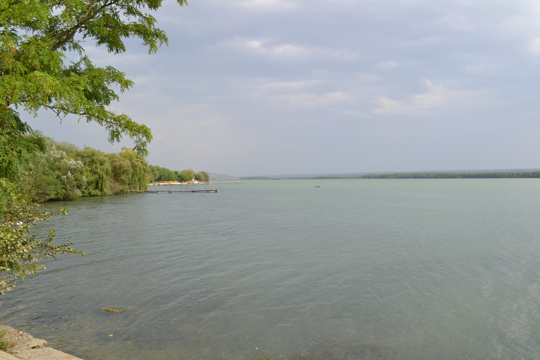 DSC_0003.JPG