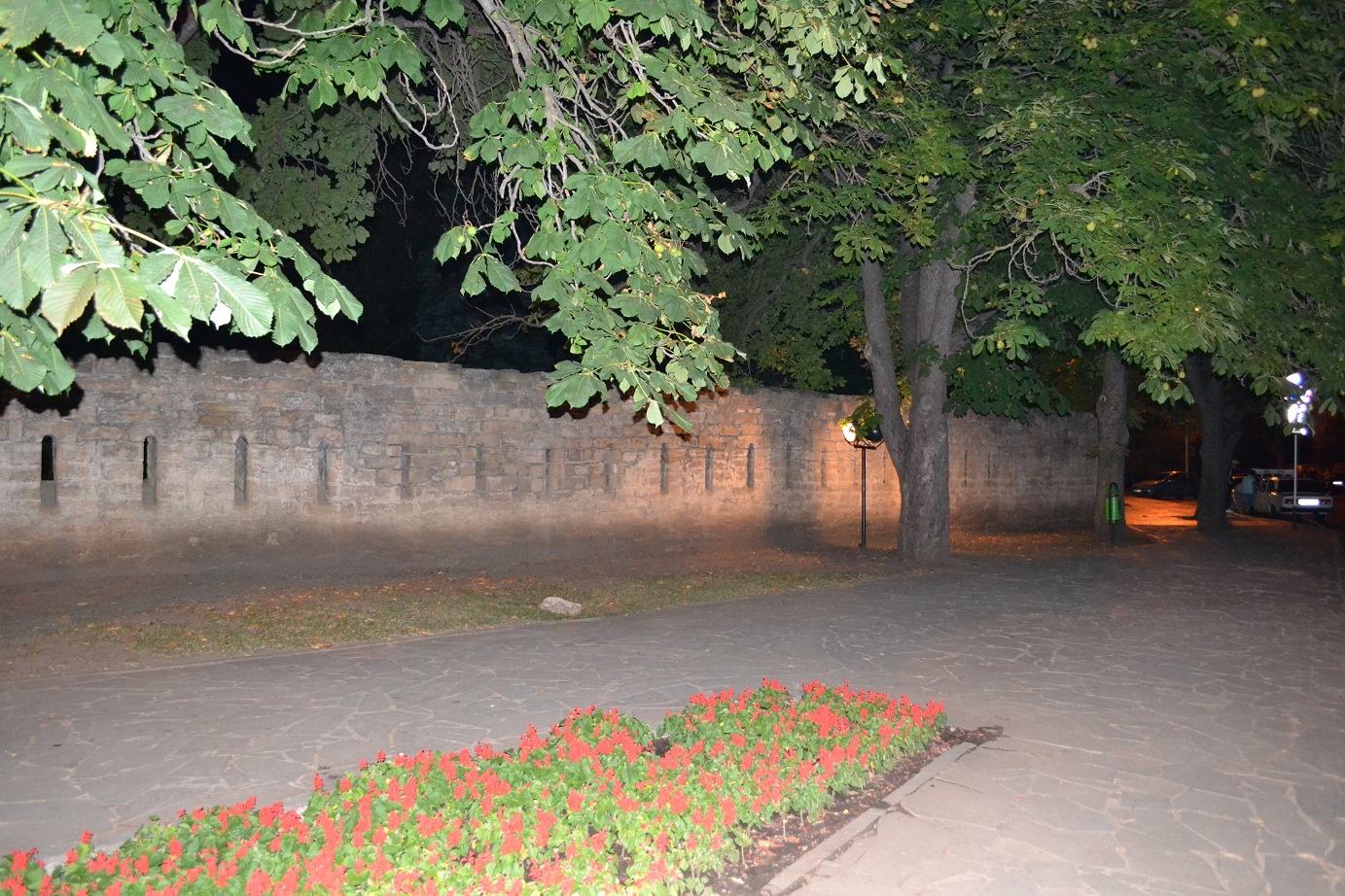DSC_0184.JPG
