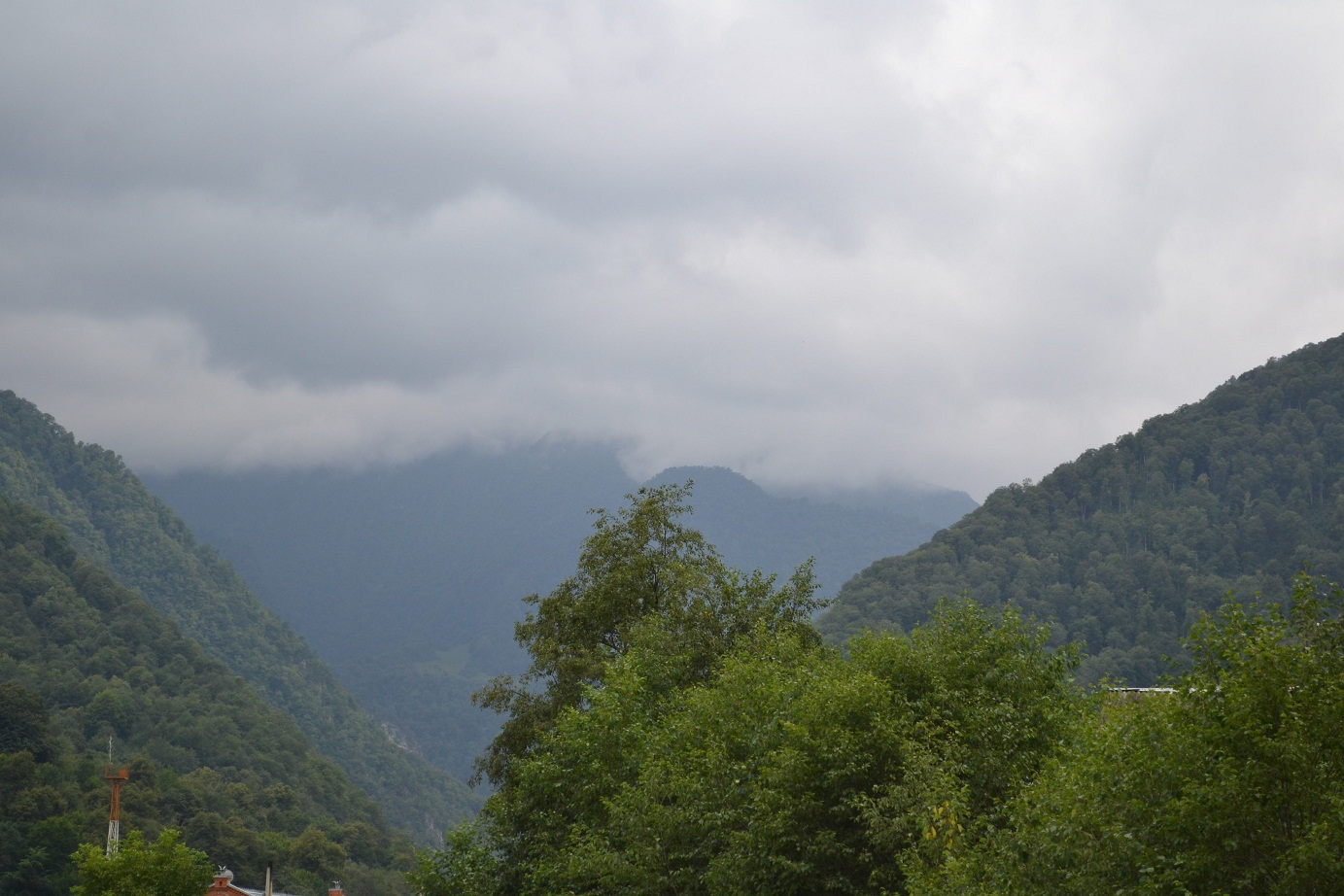 DSC_0294.JPG