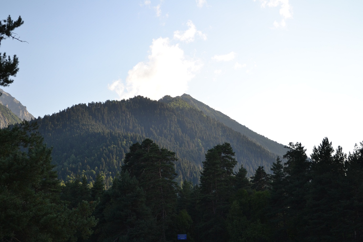 DSC_0531.JPG