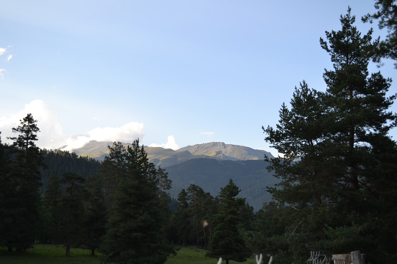 DSC_0532.JPG