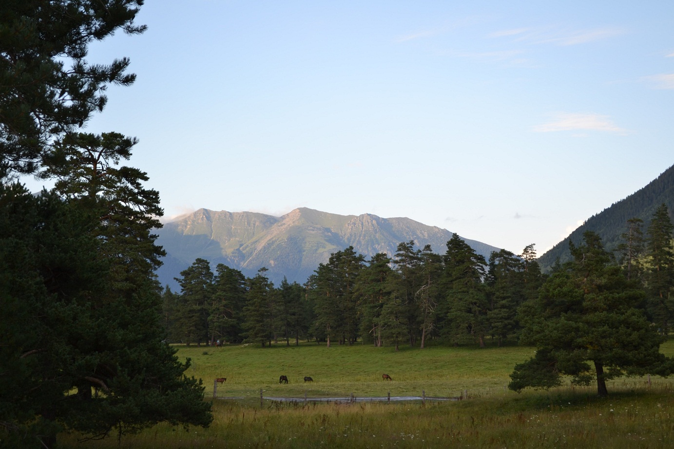 DSC_0547.JPG