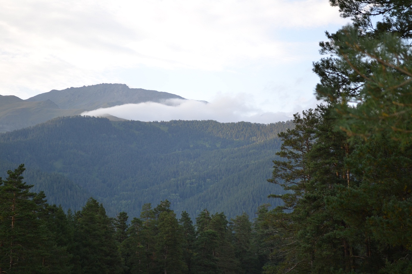 DSC_0558.JPG
