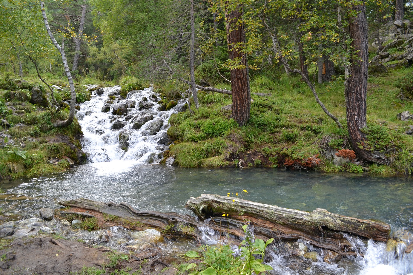 DSC_0922.JPG
