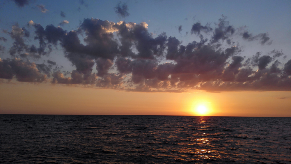 IMG_20150614_202604.jpg